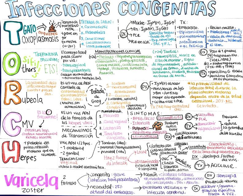 infecciones congenitas