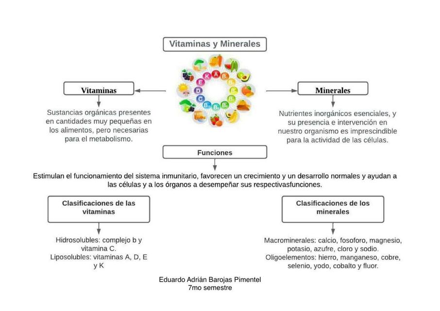 Mapa conceptual de vitaminas y minerales