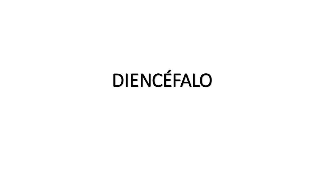 DIENCÉFALO