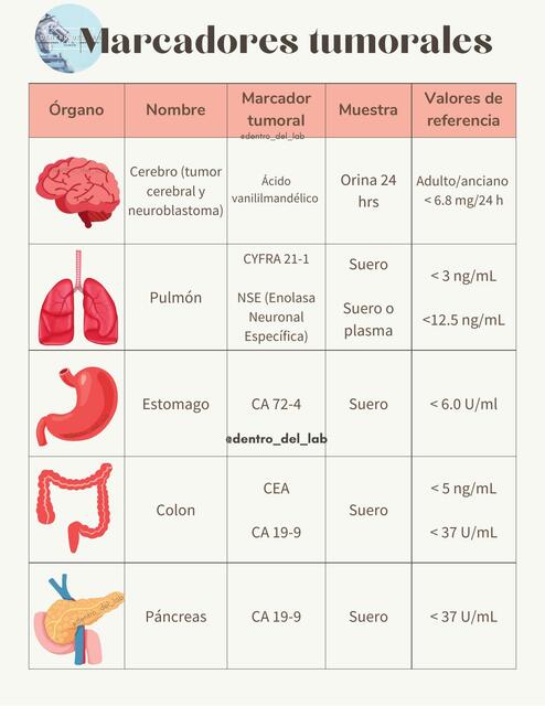 Marcadores tumorales
