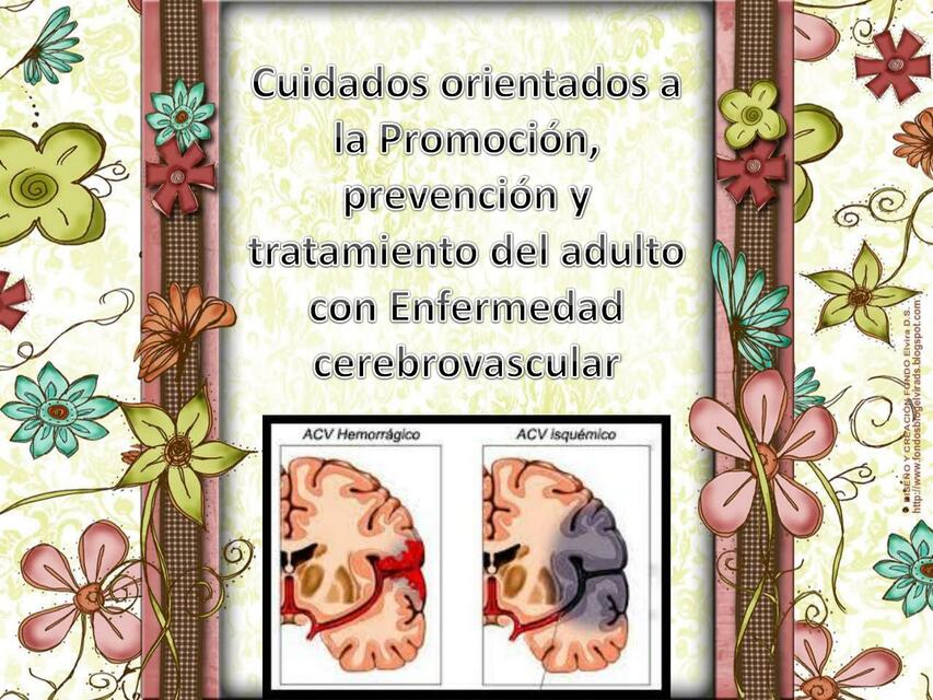 ACV PROMOCION Y PREVENCIÓN