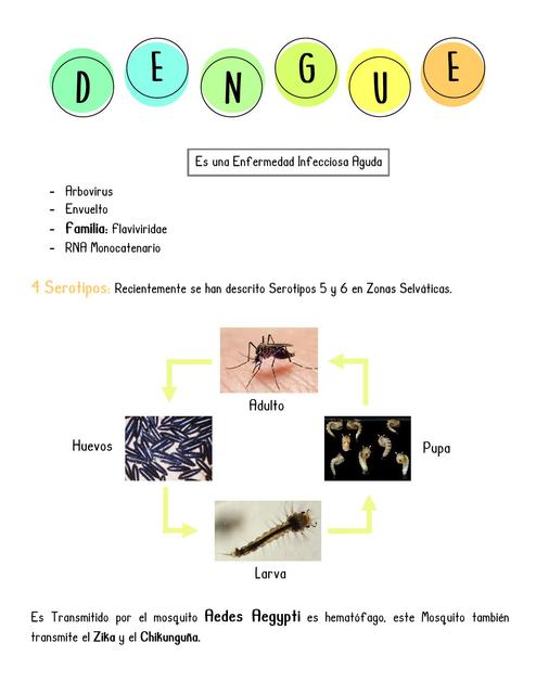 Dengue