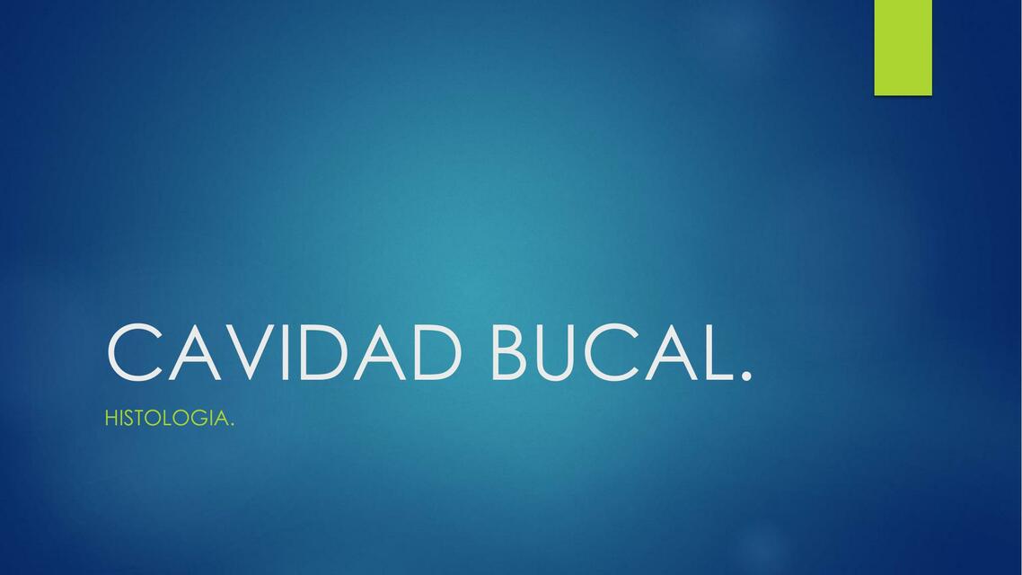 histologia cavidad bucal