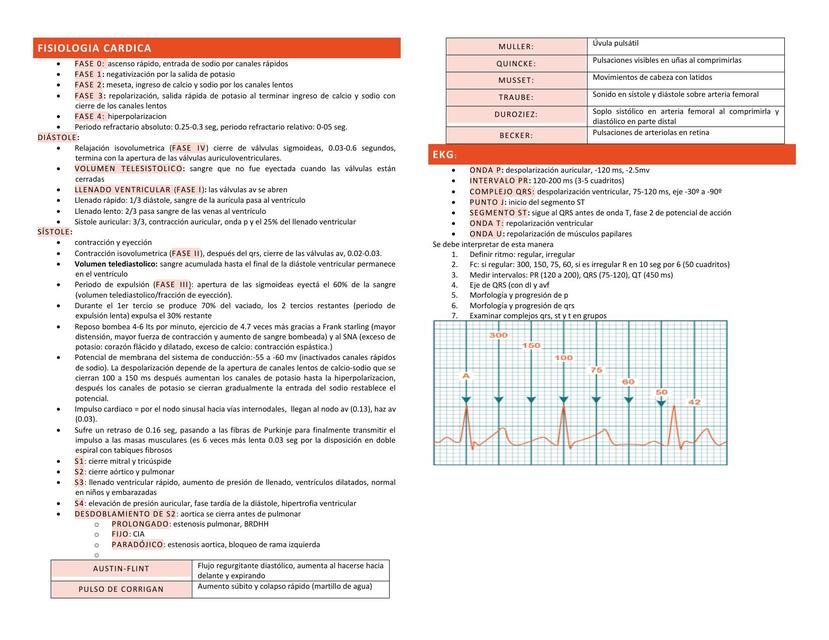 cardio enarm completo