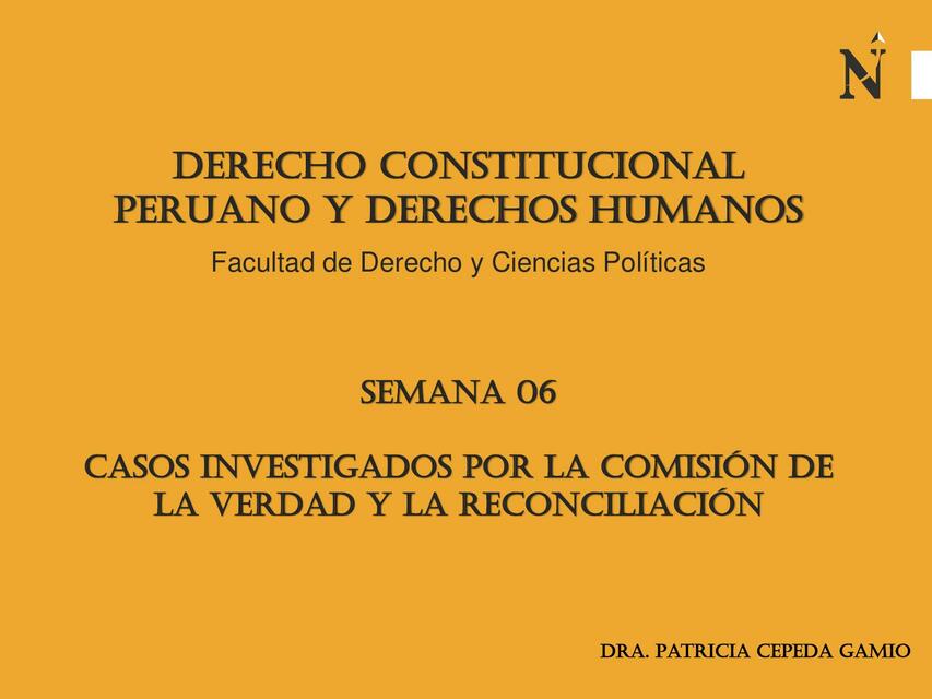 PPT SEMANA 06 DERECHO CONSTITUCIONAL Y DDHH pdf