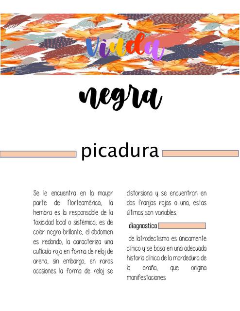 Picadura por Viuda Negra