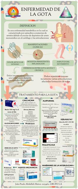 ENFERMEDAD DE LA GOTA INFOGRAFIA