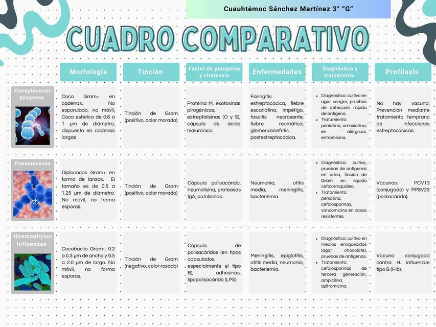 Cuadro comparativo de bacterias