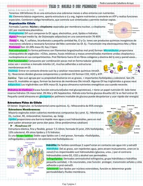 Tema 2 Celula y sus funciones Pedro Caballero