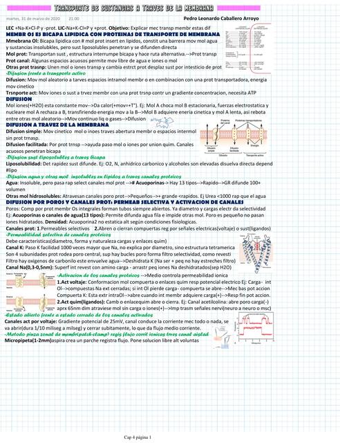 Cap 4 Transp sust traves membrana Pedro Caballero