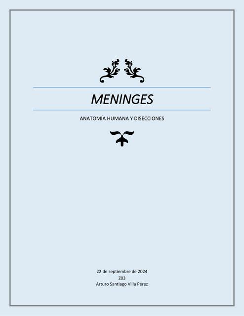 MENINGES