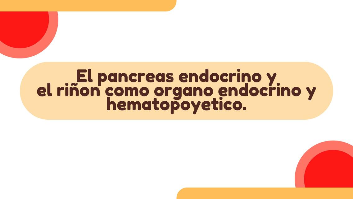 Páncreas endocrino y riñón como órgano endocrino y hematopoyético