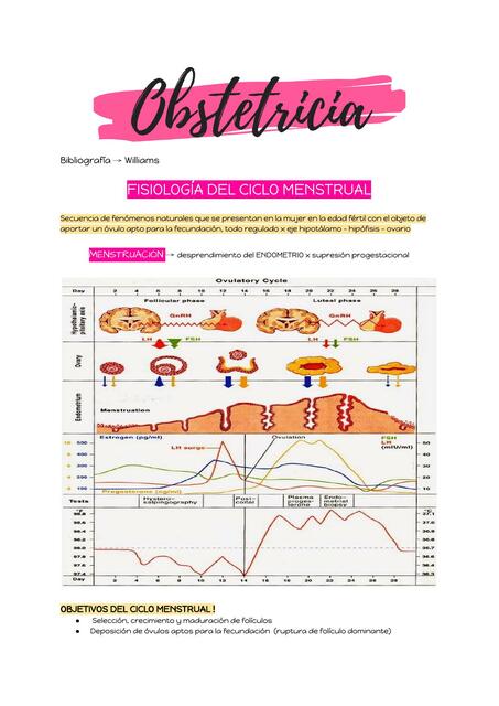 Obstetricia