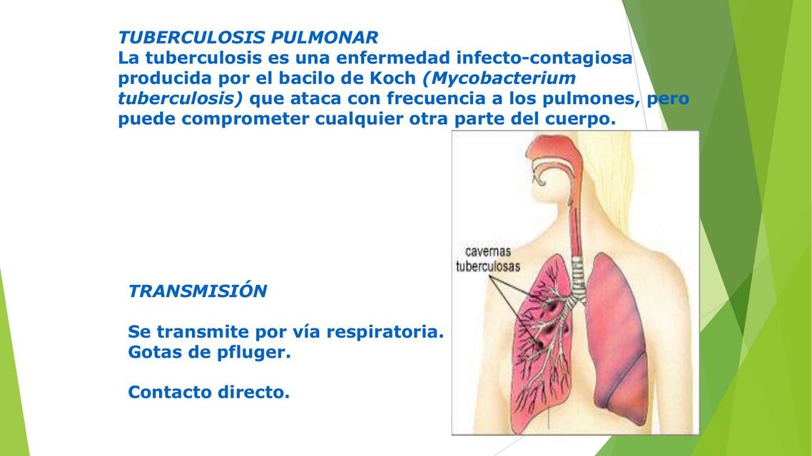 CLASE 15 PATOLOGÍA PULMONAR II