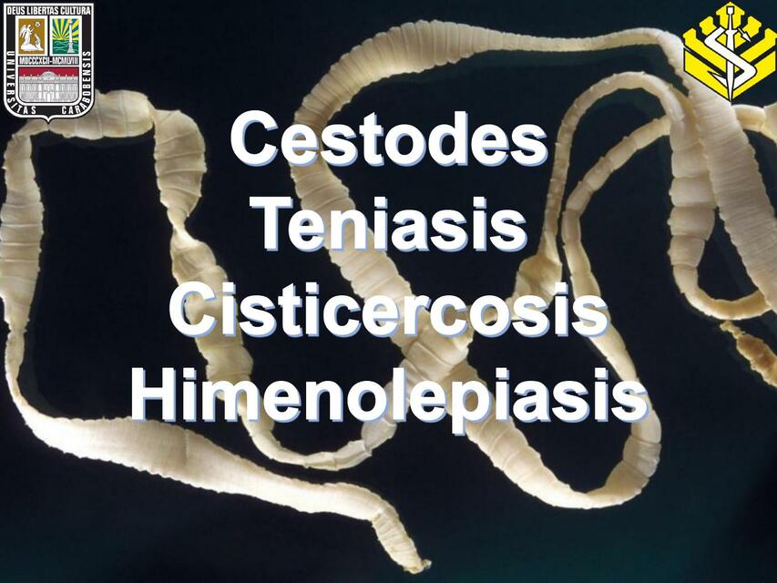 CESTODES TENIASIS