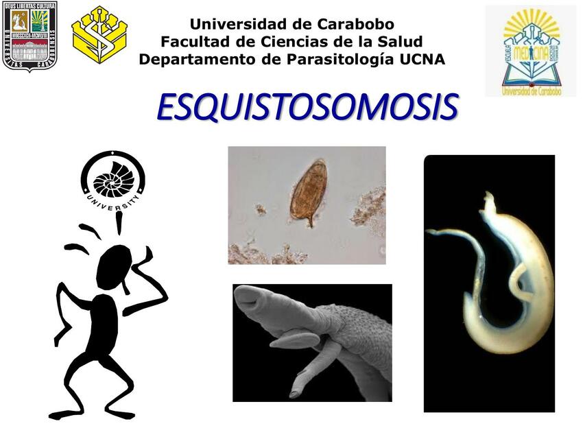 ESQUISTOSOMIASIS