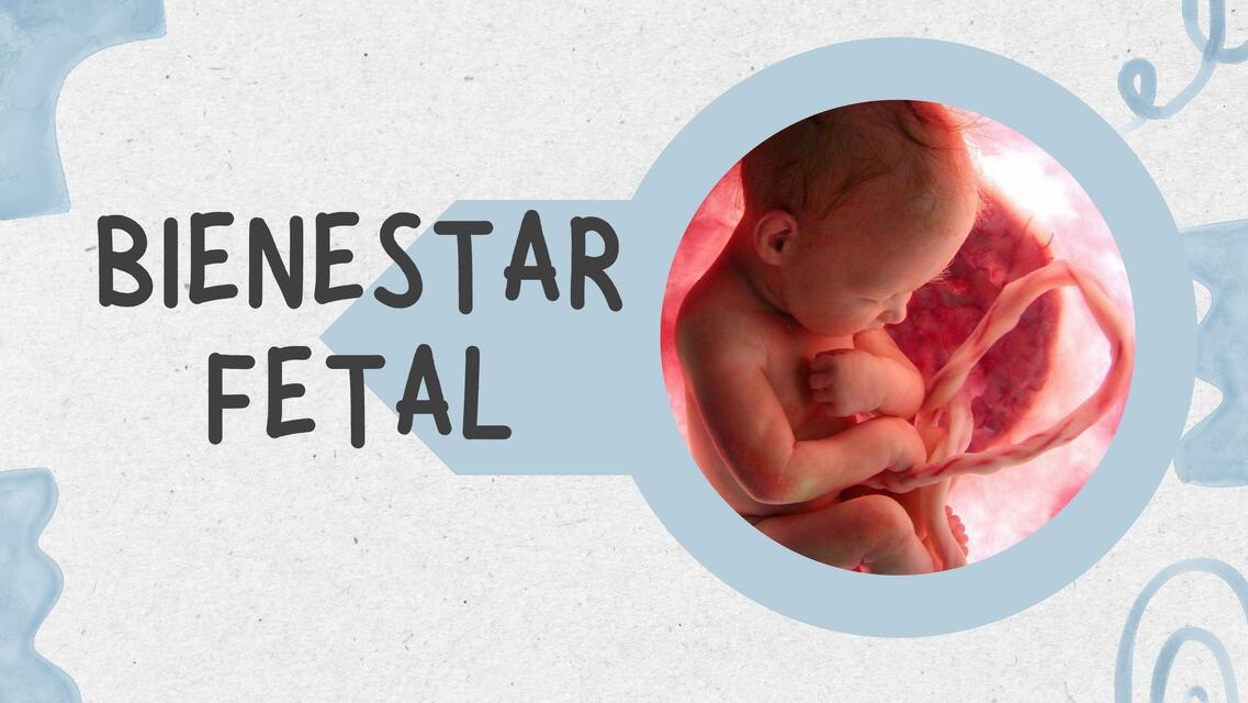 Bienestar fetal