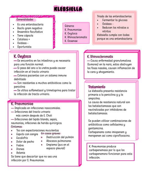 Resumen Klebsiella