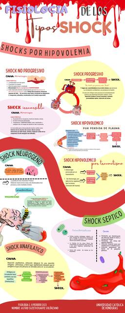 infografia TIPOS DE SHOCKS FISIO | Astrid Duarte | uDocz