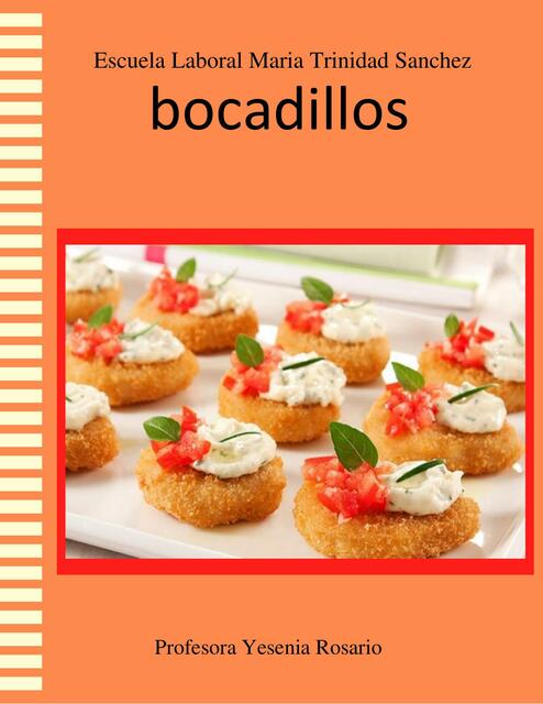 Recetario de Bocadillos nuevo completo