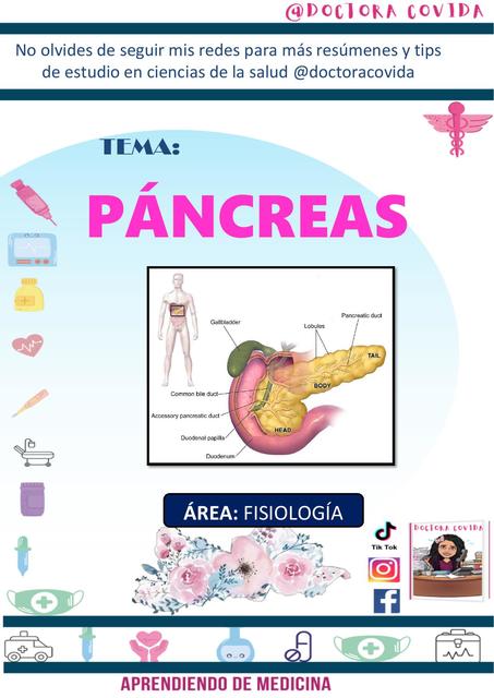 PANCREAS RESUMEN histologia fisiologia y anatomia