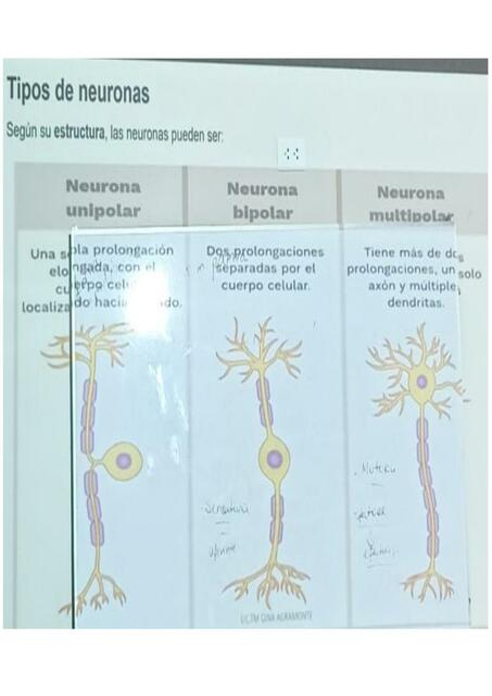 EXAMEN PARA ESTOS DÍAS