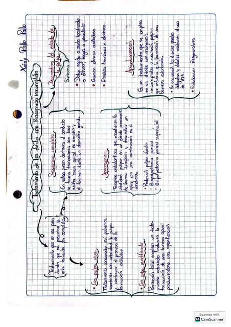 ENDO MAPA CONCEPTUAL