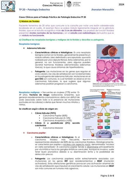 TP 20 Patología Endocrina