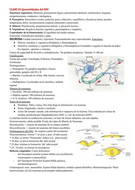 CLASE 01 Generalidades del SNC