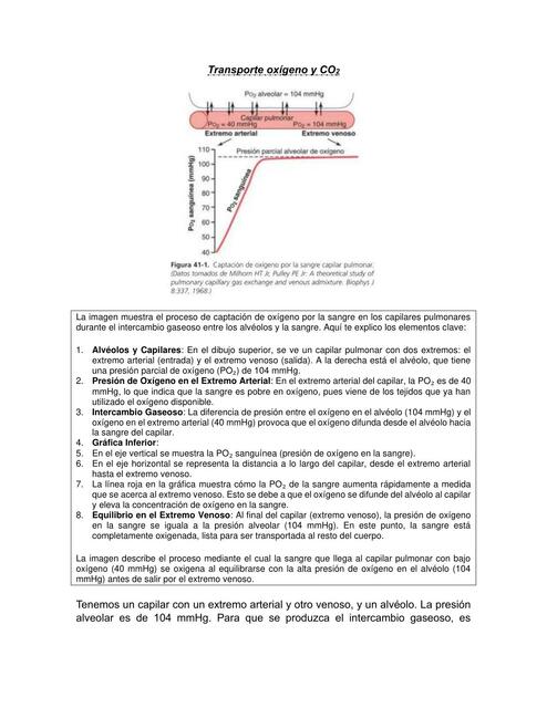 Transporte oxígeno y CO2