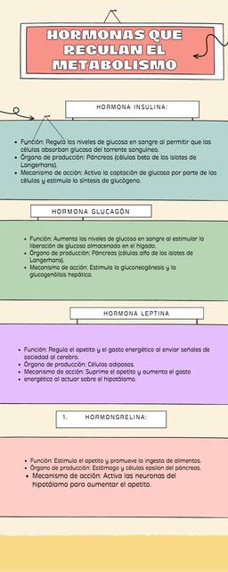 Hormonas que regulan el metabolismo