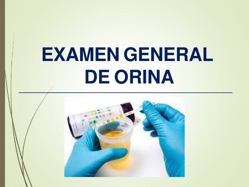 ANALISIS EXAMEN GENERAL DE ORINA | NATALIA VELASQUEZ OLIVEIRA | uDocz