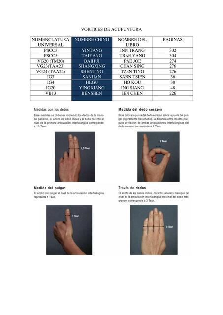 VORTICES DE ACUPUNTURA 11