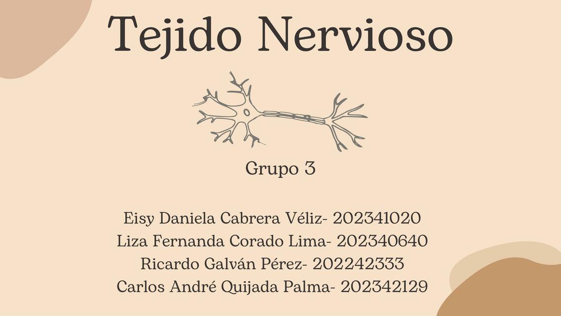 Tejido nervioso 