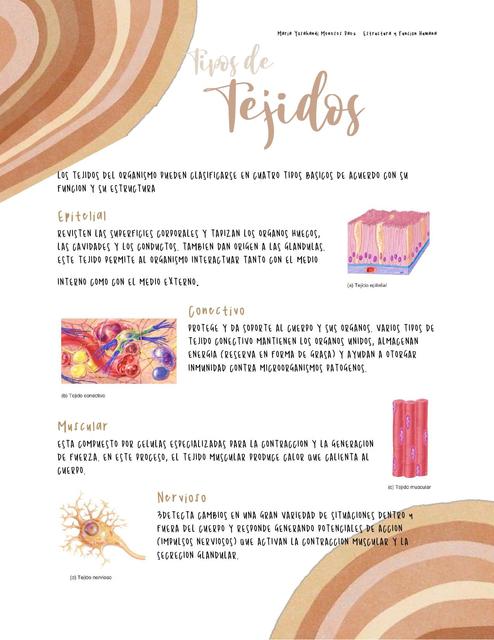 TEJIDOS