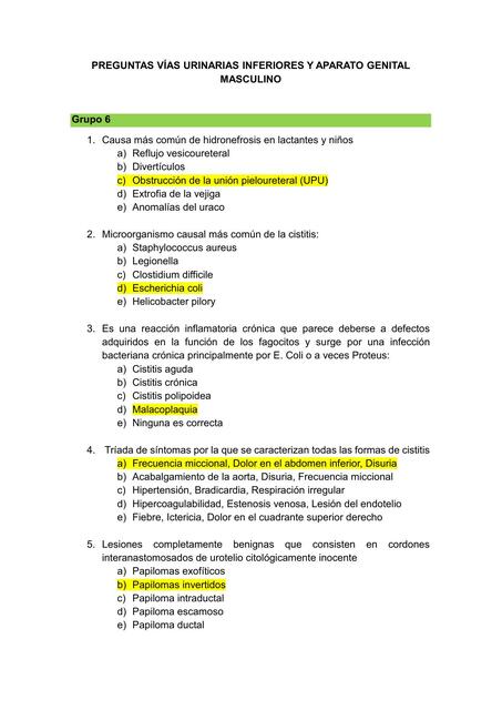 Preguntas Vias Urinarias y Organos masculinos