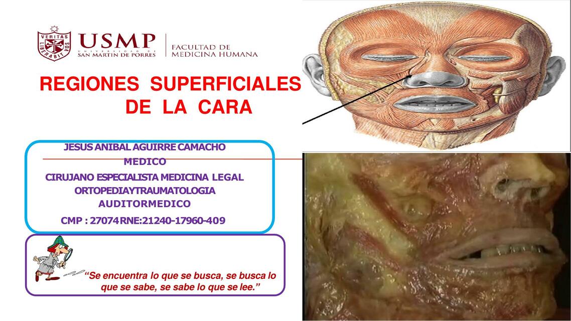 CLASE TEORICA REGIONES SUPERFICIALES DE LA CARAATM