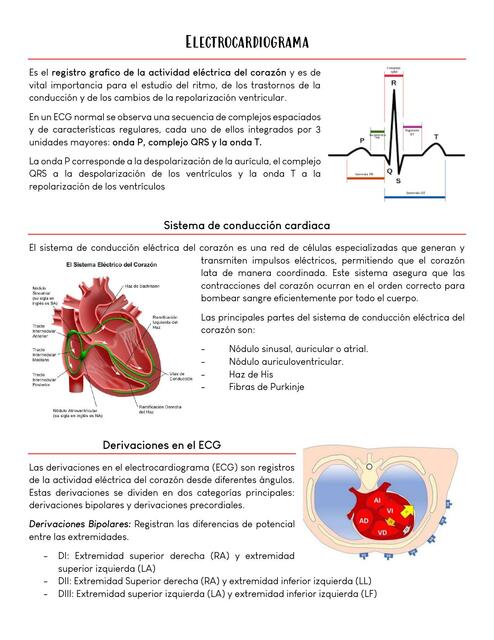 ELECTROCARGIOGRAMA EKG