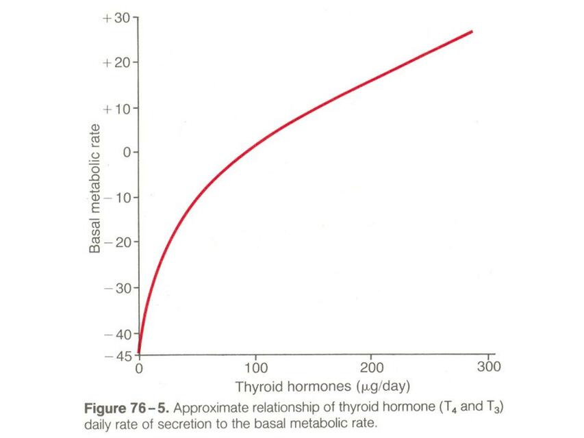 Fisiologia Tireoide 2