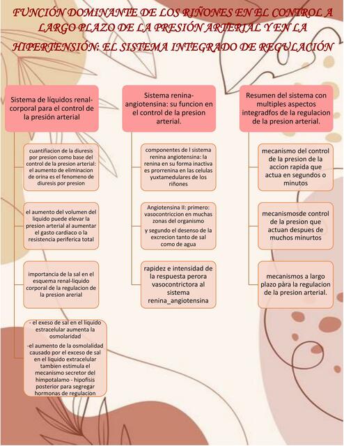 cap 19 - Guyton Fisiología