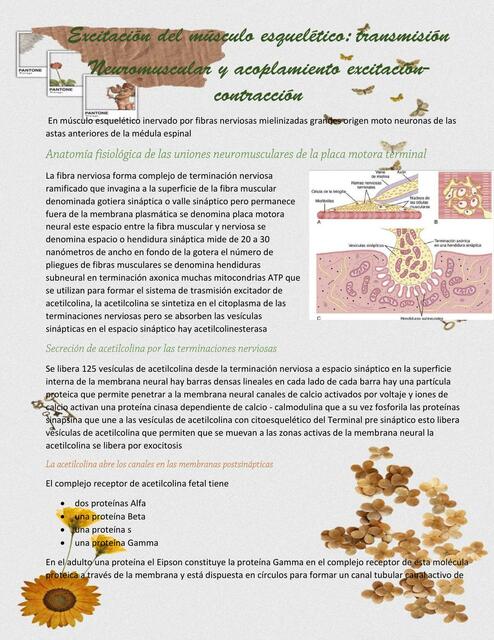 cap7 - Guyton Fisiología