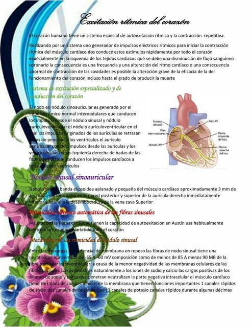 cap10 - Guyton Fisiología