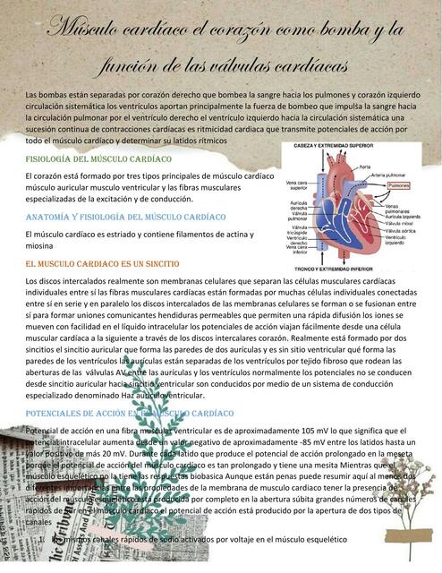 cap9 - Guyton Fisiología