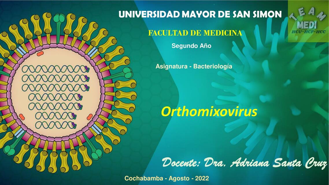 orthomixovirus