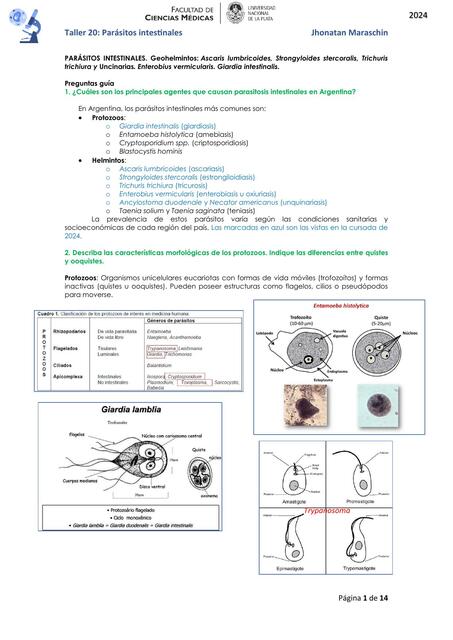 Taller 20 Parásitos intestinales