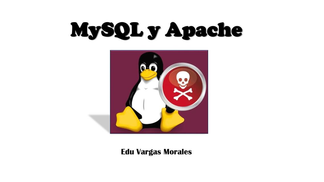 Ataques MySql EduVArgas