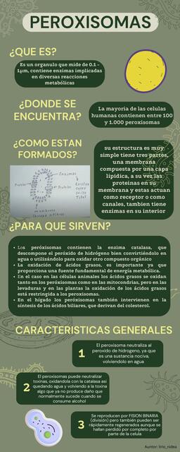 Infografía de PEROXISOMAS