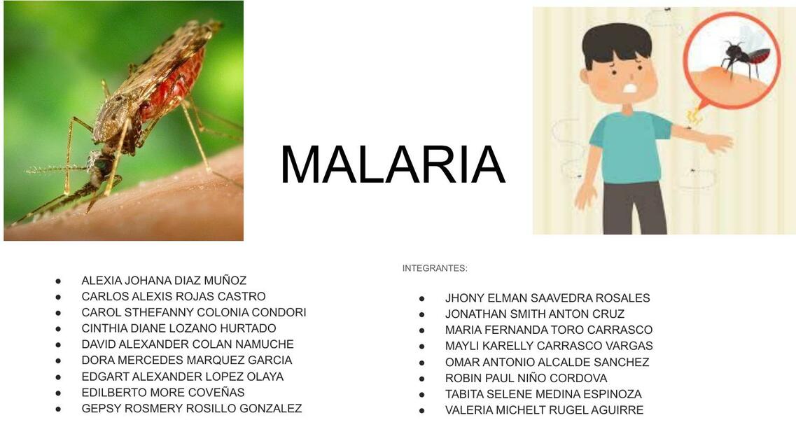 Malaria