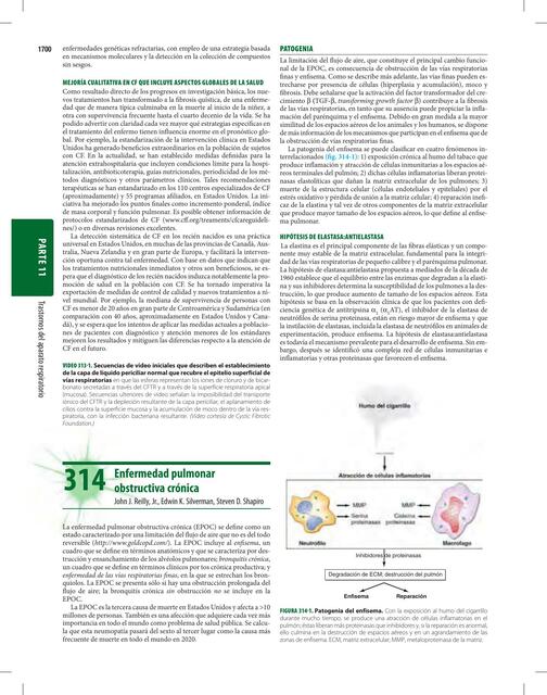 EPOC Harrison Principios de Medicina Interna 19 Ed