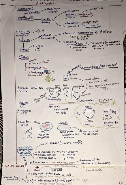 Microscopia tp1